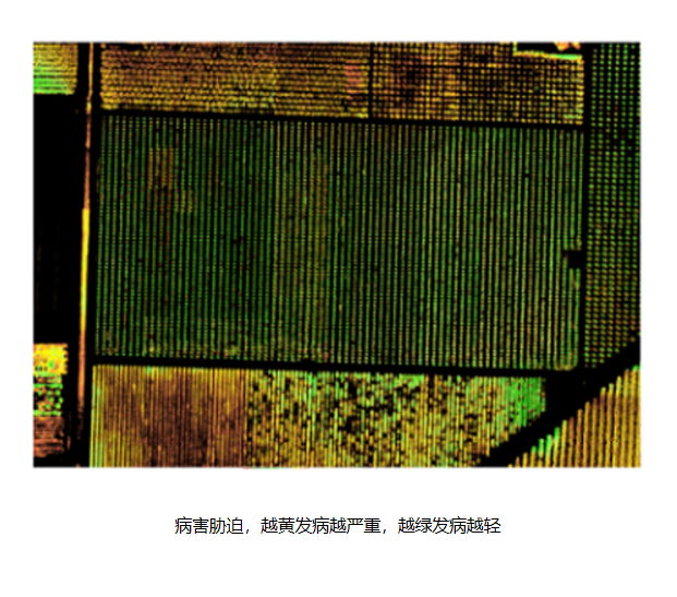 a9944ed6-0a8e-4224-9244-92eaa437addc.png