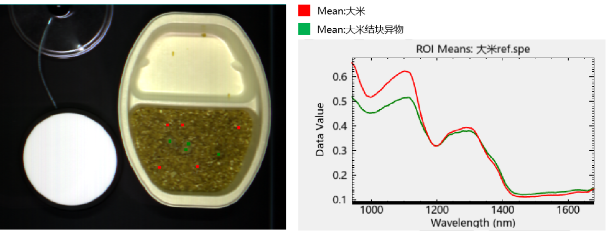 20251107134702195026.png 大米1.png