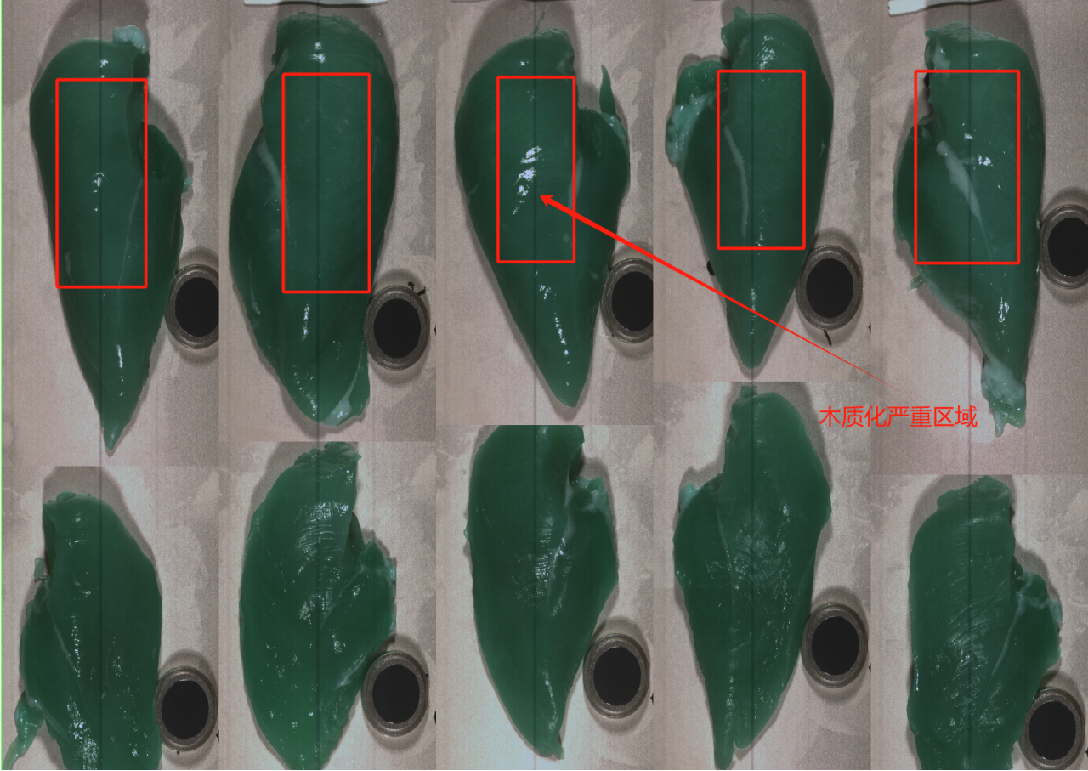 20251107140332464839.png 图片11.png