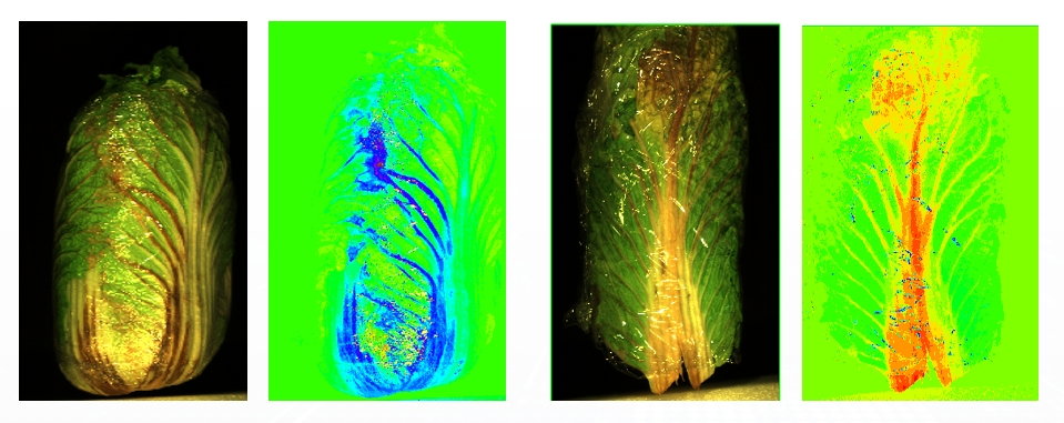 20251107141518338514.png 5.png