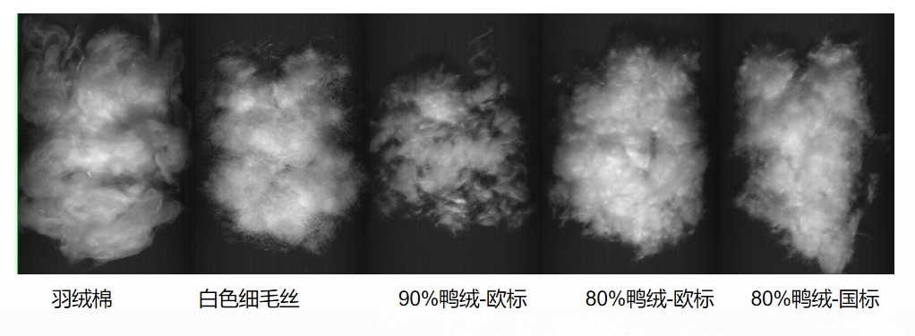 20251107144804218897.png 4.png